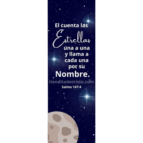 13 600x600 1.webp