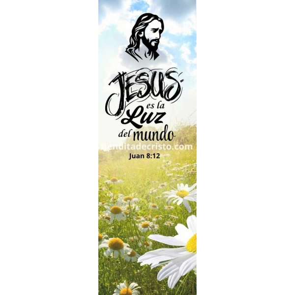 15 600x600 1.webp